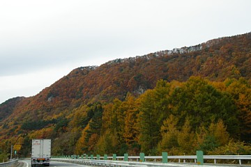 photo-081108-1