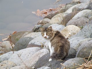 photo-081116-2