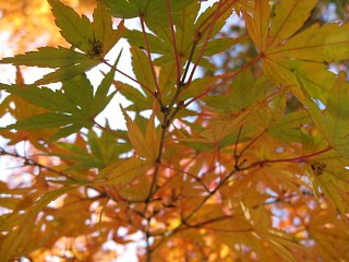 photo-081124-5