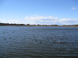 photo-081201-7