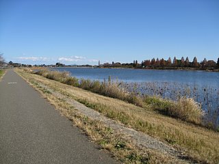 photo-081201-9