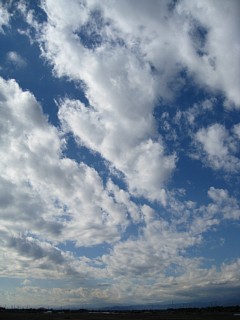 photo-081206-1