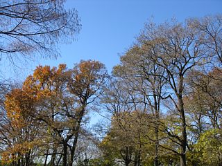 photo-081207-7