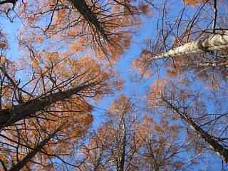 photo-081207-8