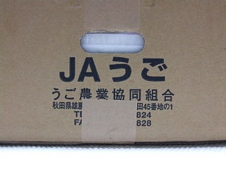 photo-081217-2
