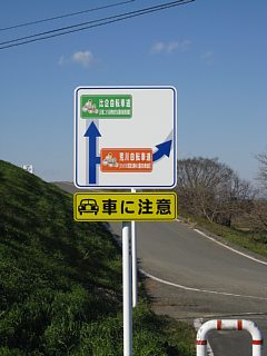 photo-081228-03