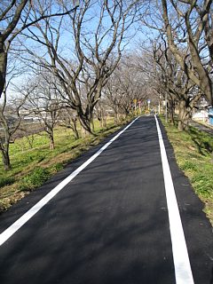 photo-090125-11