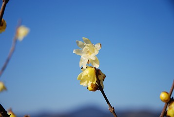photo-090208-02