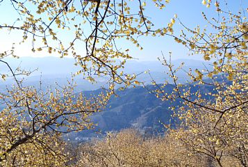 photo-090208-03