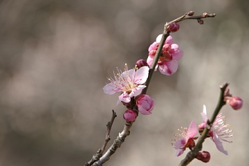 photo-090215-03