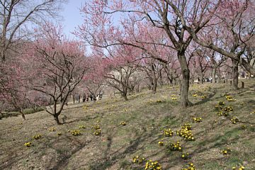 photo-090215-06