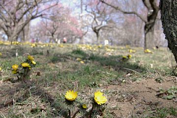 photo-090215-07