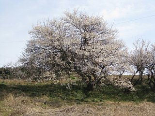 photo-090222-1