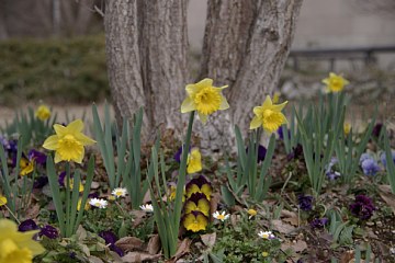 photo-090301-6