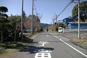 photo-090315-1