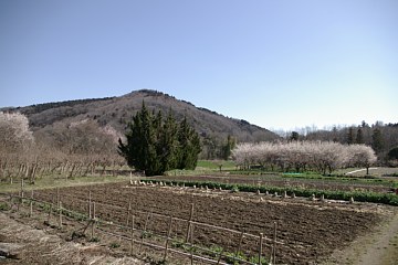photo-090315-2