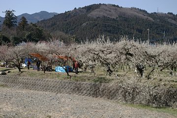 photo-090315-4