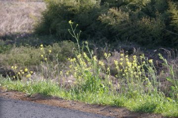 photo-090320-2