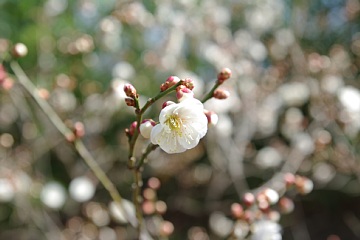 photo-090321-4