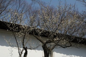 photo-090321-6