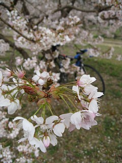photo-090322-4