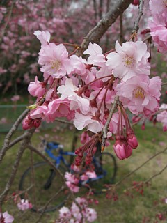 photo-090404-1