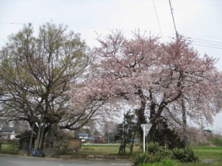 photo-090404-2