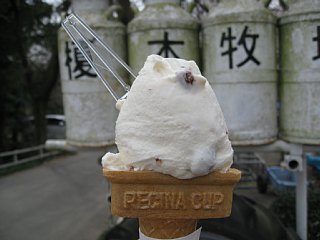 photo-090404-3