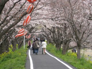 photo-090404-4