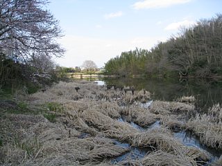 photo-090405-10