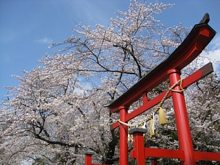 photo-090405-9