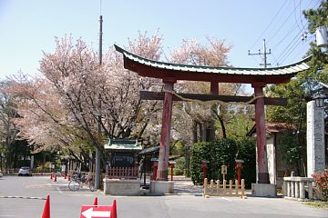 photo-090411-1