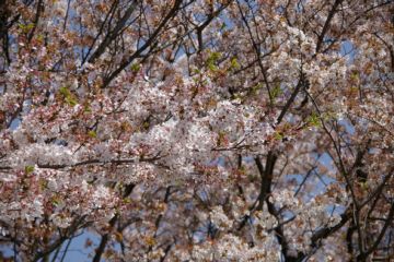 photo-090411-2