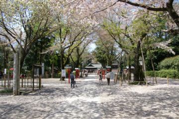 photo-090411-3
