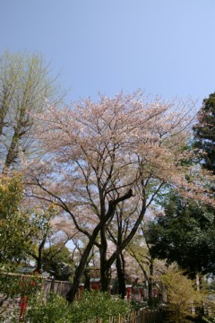 photo-090411-5