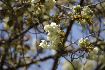 photo-090411-8