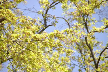 photo-090411-9