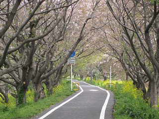 photo-090412-1