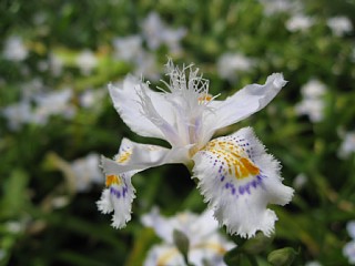 photo-090412-7