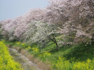 photo-090412-8
