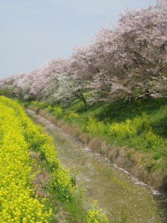 photo-090412-9