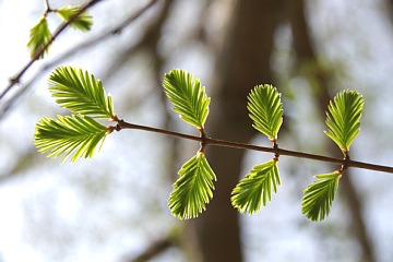 photo-090416-10