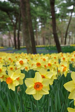 photo-090416-2