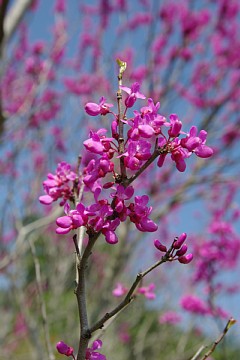 photo-090416-3