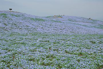photo-090416-5