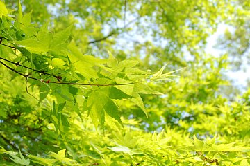 photo-090419-3
