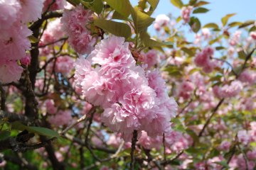 photo-090419-5