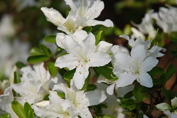 photo-090419-6