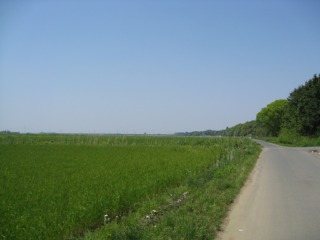 photo-090430-3