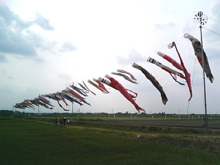 photo-090505-1
